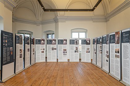 Foto der Finding Ivy-Ausstellung