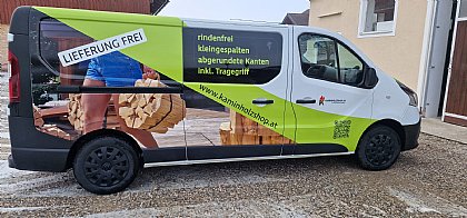 Seitenansicht des Trafic Kastenwagens