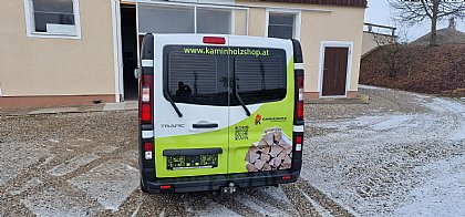 Rückansicht des Trafic Kastenwagens